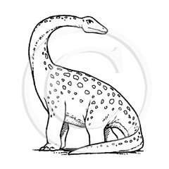 0844 C - Dinosaur