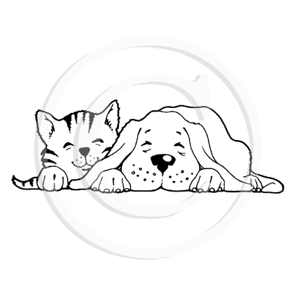 1109 BB - Cat & Dog