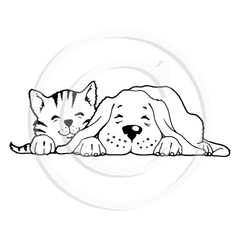 1109 BB - Cat & Dog