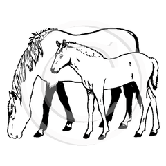 1217 G or D Horses