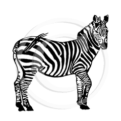 1235 F Zebra