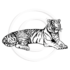 1252 FF Tiger