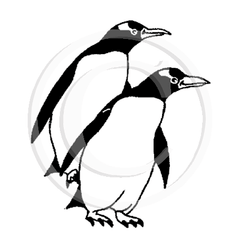 1406 C - Penguins