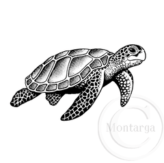 1496 E - Sea Turtle