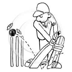 1519 D - Cricket Player