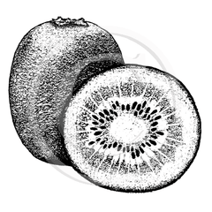 1974 Kiwifruit