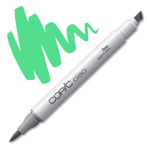 G02 - Spectrum Green Copic Ciao Marker