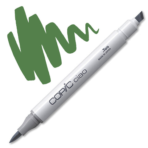 YG67 - Moss Copic Ciao Marker