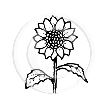 0621 A - Sunflower