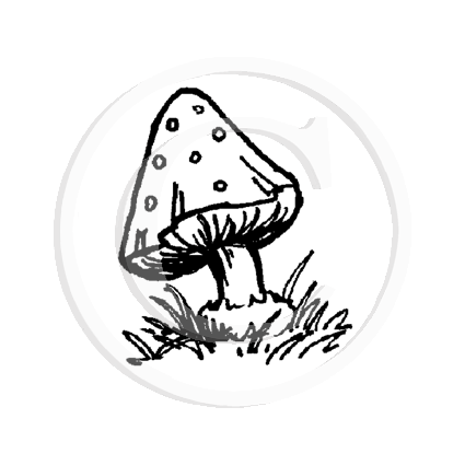 0921 A Mushroom