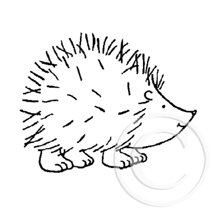 1220 C or A Hedgehog