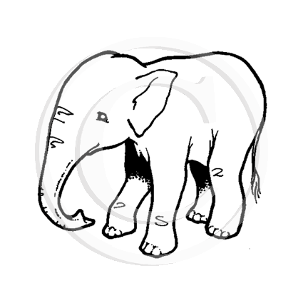 1226 A Elephant