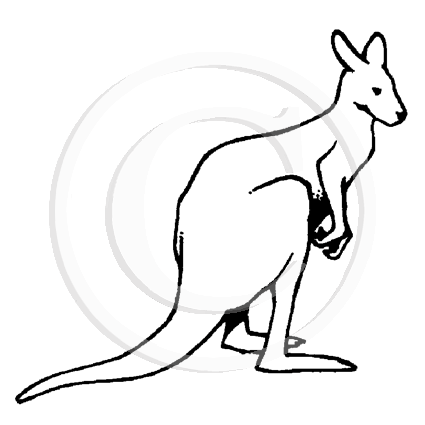 1233 D Kangaroo