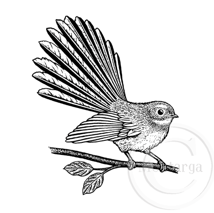1237 G - Fantail on Branch