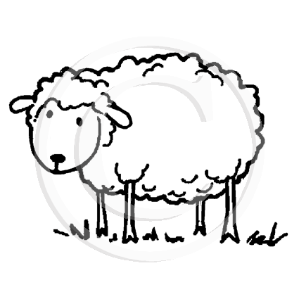 1283 E or B Sheep