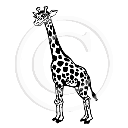 1284 FF Giraffe