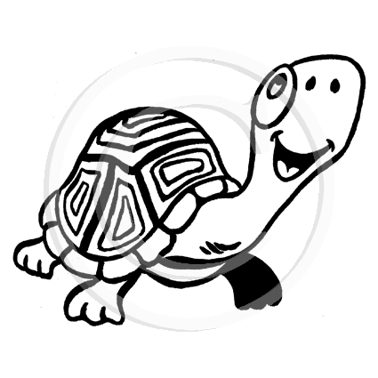 1288 C Turtle