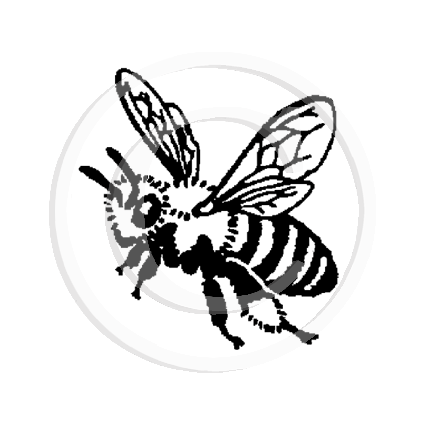 1325 A Bee