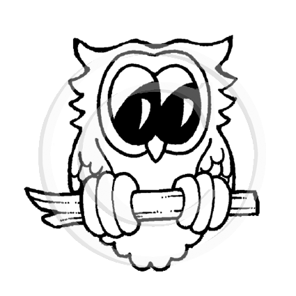 1342 C - Owl