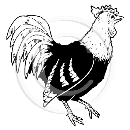 1346 D Rooster