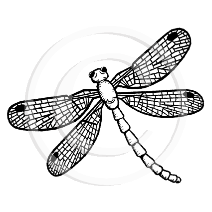 1363 G Dragonfly