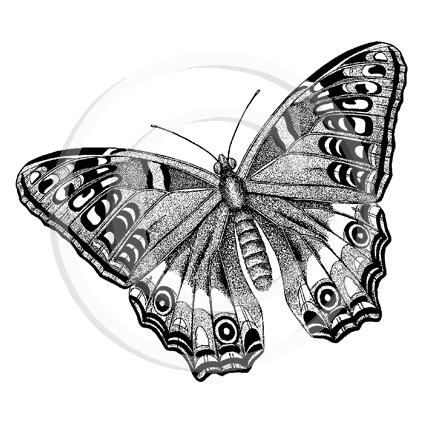 1376 D or G Butterfly