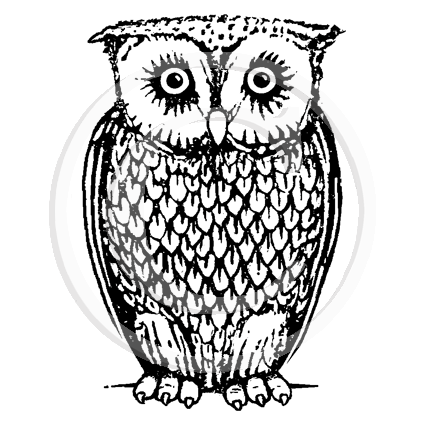 1385 D Owl