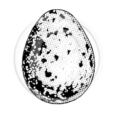 1394 C - Egg