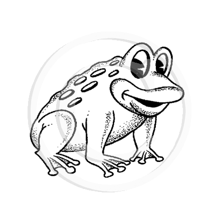 1447 A Toad