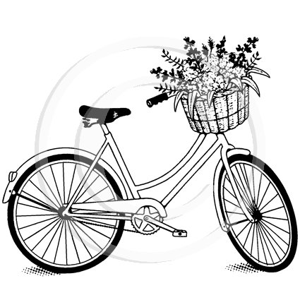 1766 G - Bike With Basket