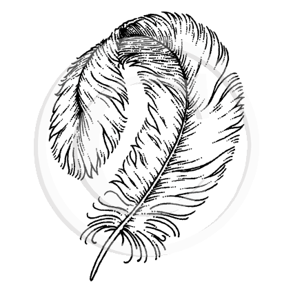 1847 D or A Feather