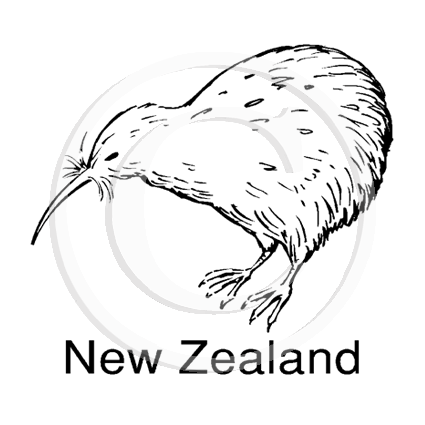 1904 A or C New Zealand Kiwi