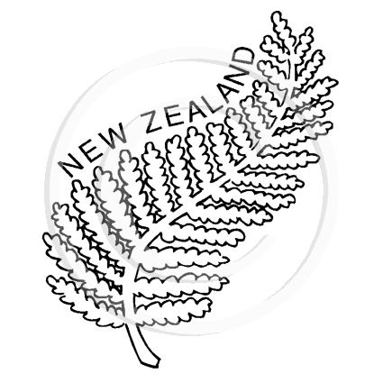 1905 C New Zealand Fern