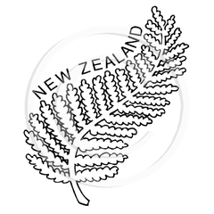 1905 C New Zealand Fern