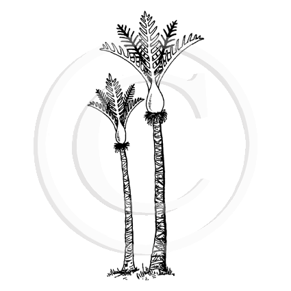 1962 B or FF Nikau Palm Tree
