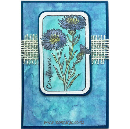 Card Sample - Watercolour Cornflowers