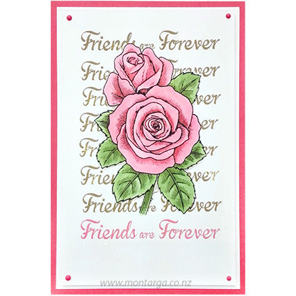 Card Sample - Pink Rose with Background Stamping