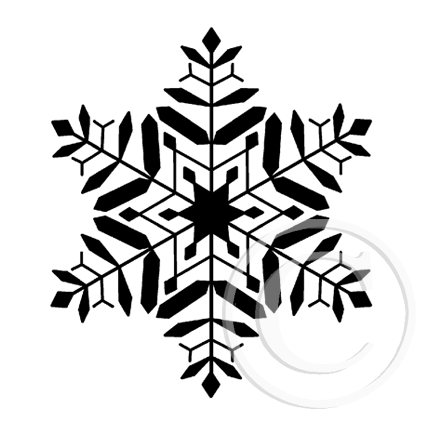 2338 A C or F - Solid Snowflake