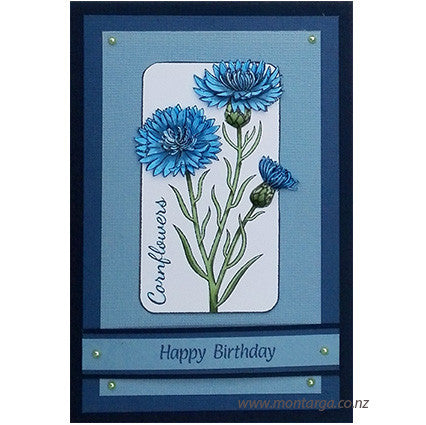 Card Sample - Card Sample - Blue Cornflowers