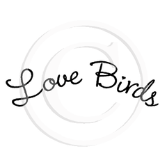 2732 B - Love Birds