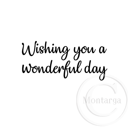 2793 B - Wishing You a Wonderful Day
