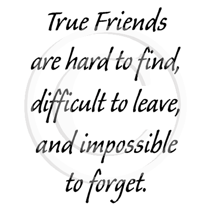 2823 D - True Friends Are Hard to Find