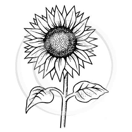 3274 G - Sunflower