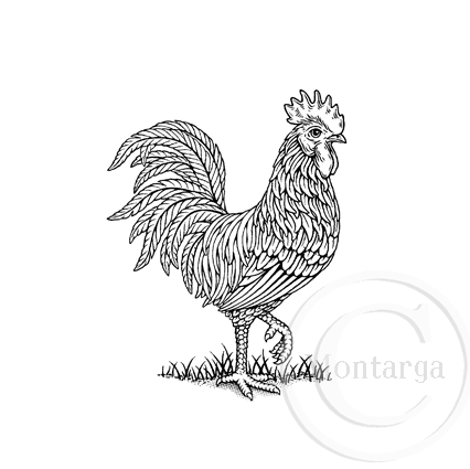 3620 F - Rooster