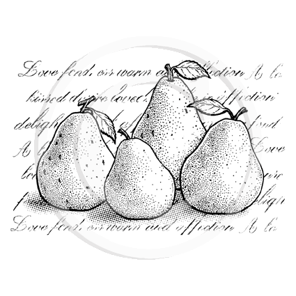 3804 GG - Pears With Script Background