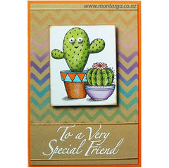 Friendly Cactus