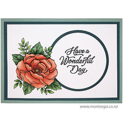 Rose - Have a Wonderful Day