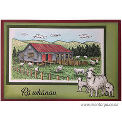 Shearing Shed - Ra Whanau